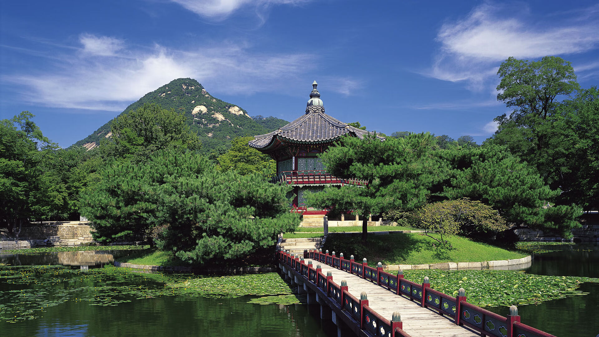 佩德里荣膺2024年欧洲金童奖，佩德里 奥运会