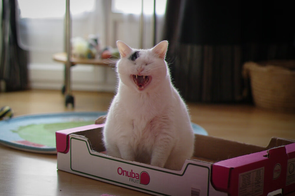 “青春无限”青年篮球文化节在浙江台州盛大举行，青年篮球比赛