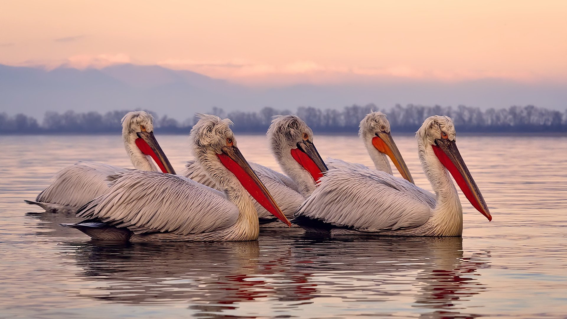 九游登录入口-中超转播权大动作，海外市场全面展开，中超转播权 80亿